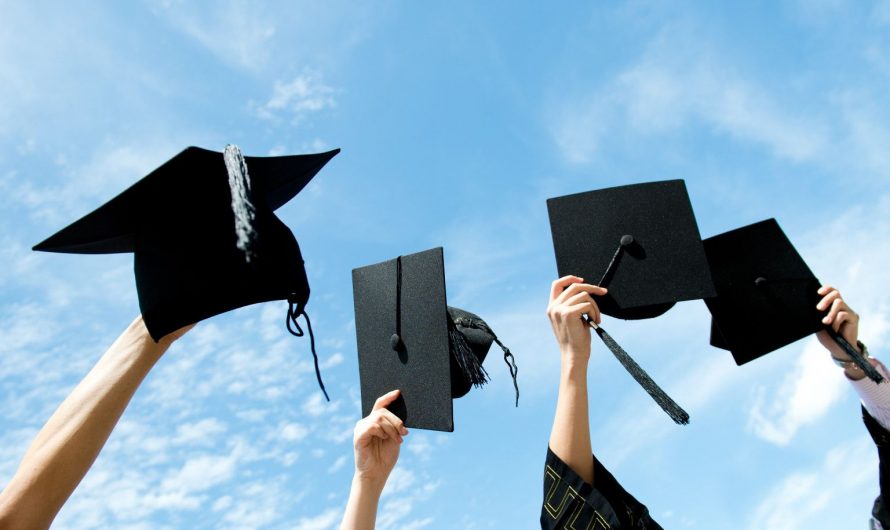 Можно ли купить диплом в реестре