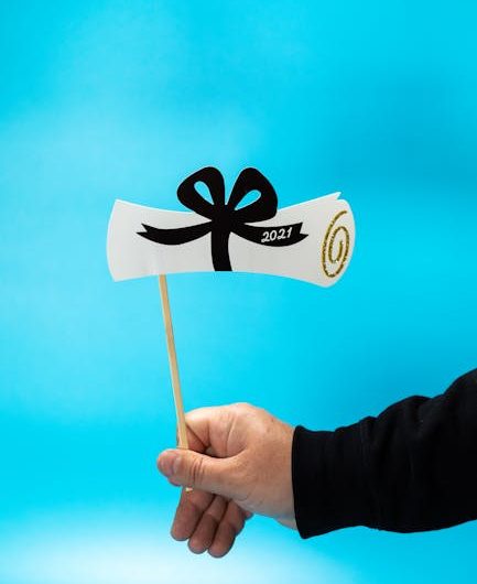 Доступные дипломы с занесением в реестр по низкой цене