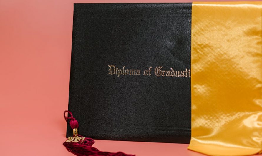 Доступная цена на диплом с занесением в реестр